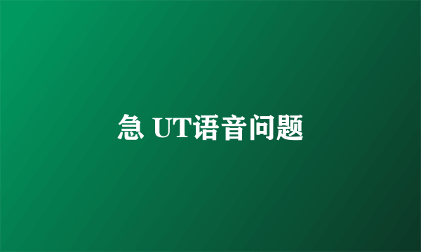 急 UT语音问题