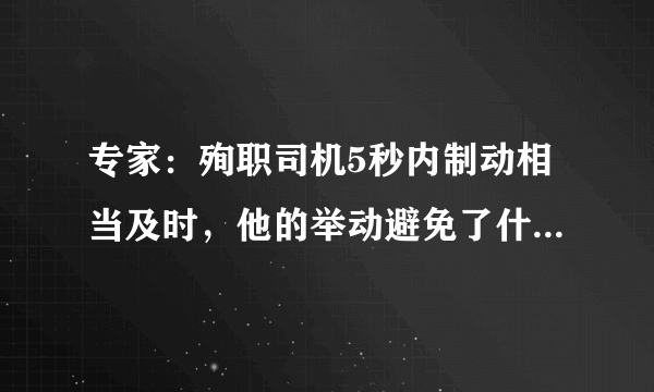 专家：殉职司机5秒内制动相当及时，他的举动避免了什么后果？