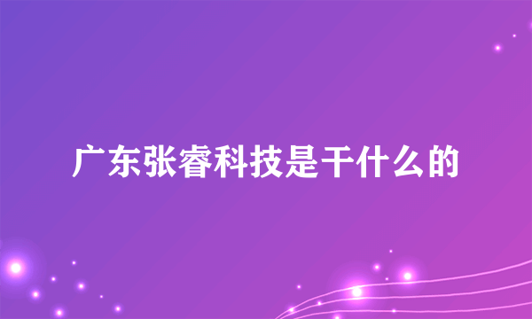 广东张睿科技是干什么的