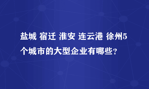 盐城 宿迁 淮安 连云港 徐州5个城市的大型企业有哪些？