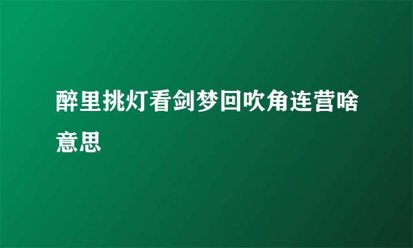 醉里挑灯看剑梦回吹角连营啥意思