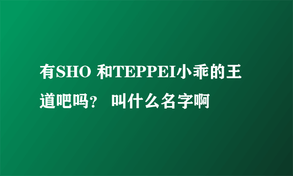 有SHO 和TEPPEI小乖的王道吧吗？ 叫什么名字啊