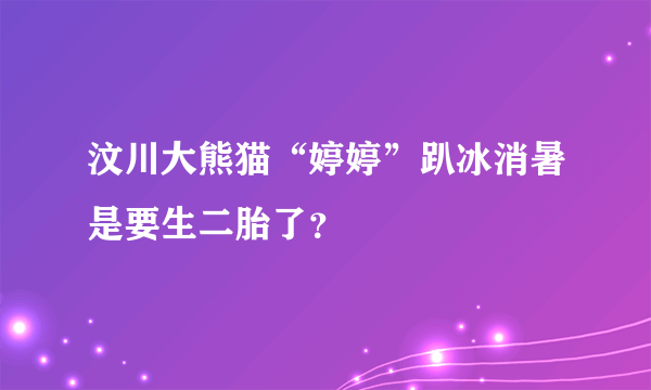 汶川大熊猫“婷婷”趴冰消暑是要生二胎了？