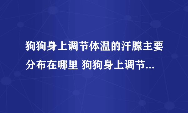 狗狗身上调节体温的汗腺主要分布在哪里 狗狗身上调节体温的汗腺如何分布介绍