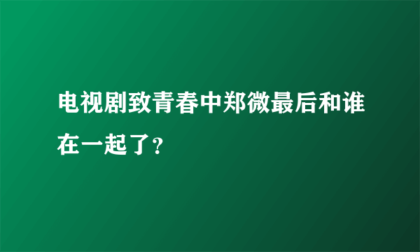 电视剧致青春中郑微最后和谁在一起了？