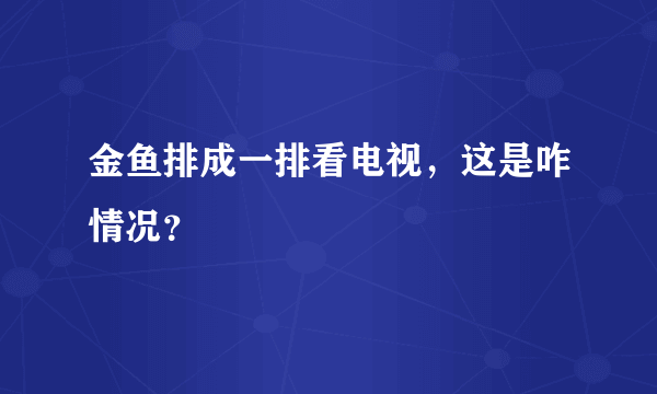 金鱼排成一排看电视，这是咋情况？