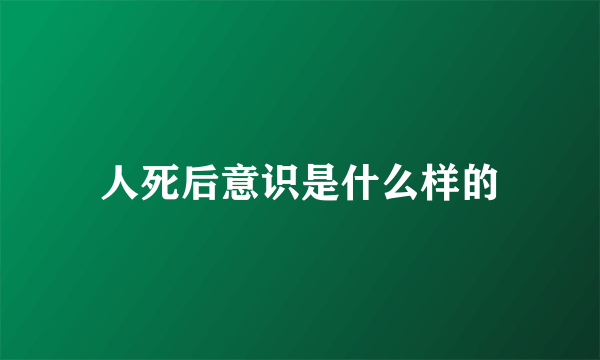 人死后意识是什么样的