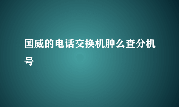 国威的电话交换机肿么查分机号