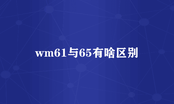 wm61与65有啥区别