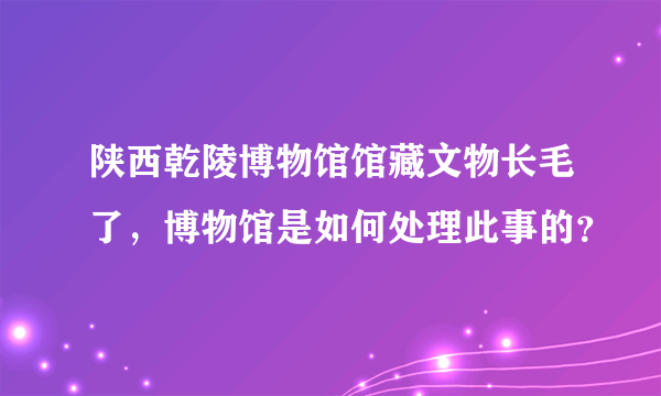 陕西乾陵博物馆馆藏文物长毛了，博物馆是如何处理此事的？