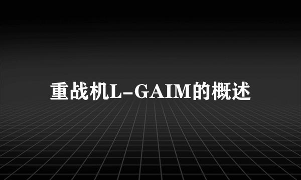 重战机L-GAIM的概述