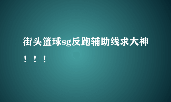 街头篮球sg反跑辅助线求大神！！！