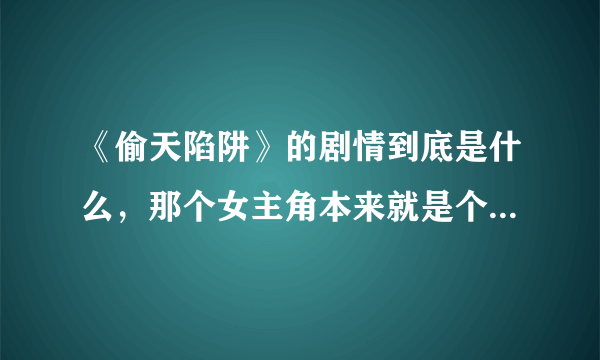 《偷天陷阱》的剧情到底是什么，那个女主角本来就是个盗贼吗？