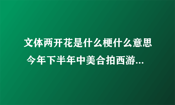 文体两开花是什么梗什么意思 今年下半年中美合拍西游记是什么梗