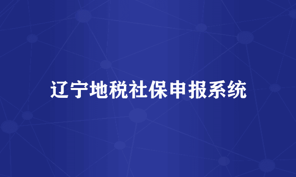 辽宁地税社保申报系统