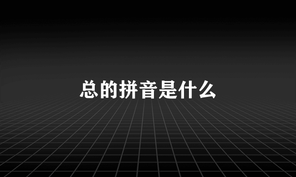 总的拼音是什么