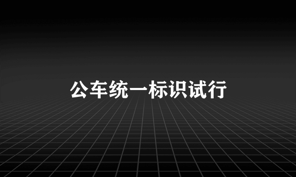 公车统一标识试行