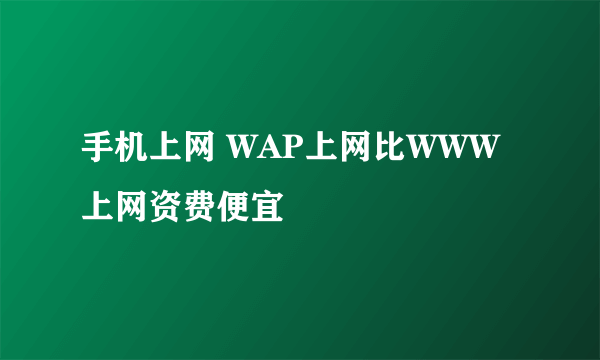 手机上网 WAP上网比WWW上网资费便宜