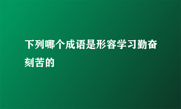 下列哪个成语是形容学习勤奋刻苦的