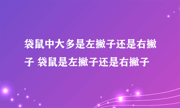 袋鼠中大多是左撇子还是右撇子 袋鼠是左撇子还是右撇子