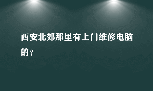 西安北郊那里有上门维修电脑的？