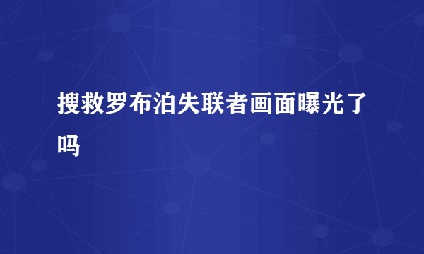 搜救罗布泊失联者画面曝光了吗