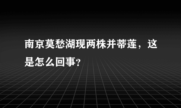 南京莫愁湖现两株并蒂莲，这是怎么回事？