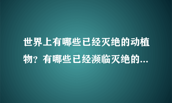 世界上有哪些已经灭绝的动植物？有哪些已经濒临灭绝的动植物？