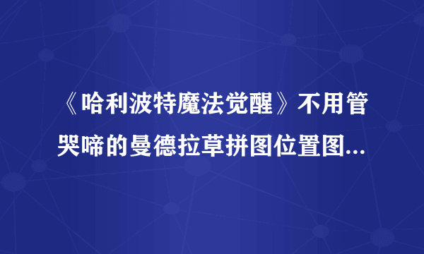 《哈利波特魔法觉醒》不用管哭啼的曼德拉草拼图位置图文教程 不用管哭啼的曼德拉草在哪里