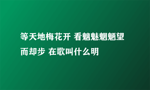 等天地梅花开 看魑魅魍魉望而却步 在歌叫什么明