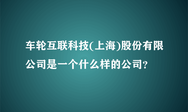 车轮互联科技(上海)股份有限公司是一个什么样的公司？