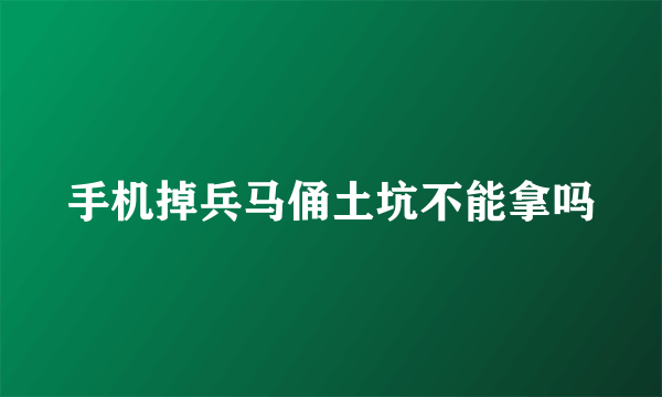 手机掉兵马俑土坑不能拿吗