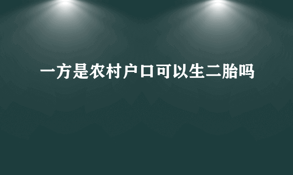 一方是农村户口可以生二胎吗