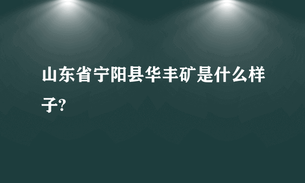 山东省宁阳县华丰矿是什么样子?