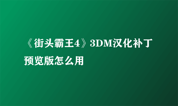 《街头霸王4》3DM汉化补丁预览版怎么用