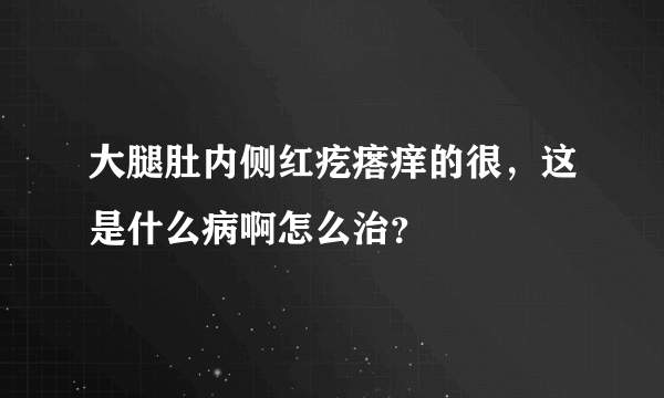 大腿肚内侧红疙瘩痒的很，这是什么病啊怎么治？