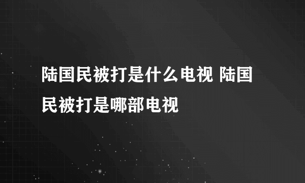 陆国民被打是什么电视 陆国民被打是哪部电视