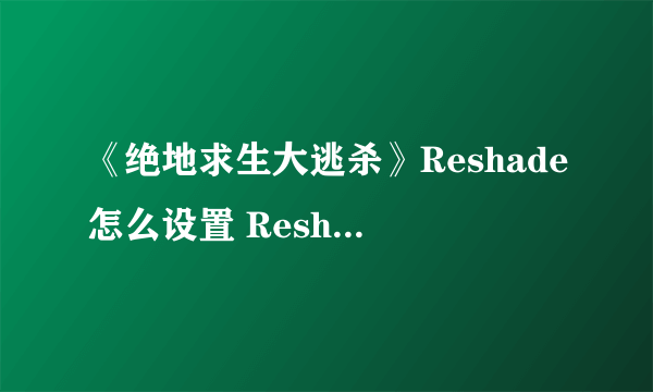 《绝地求生大逃杀》Reshade怎么设置 Reshade安装与设置图文教程