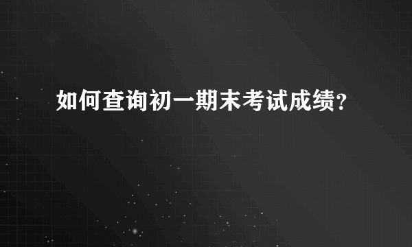 如何查询初一期末考试成绩？