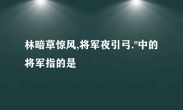 林暗草惊风,将军夜引弓.