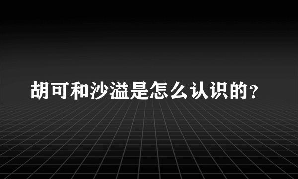 胡可和沙溢是怎么认识的？