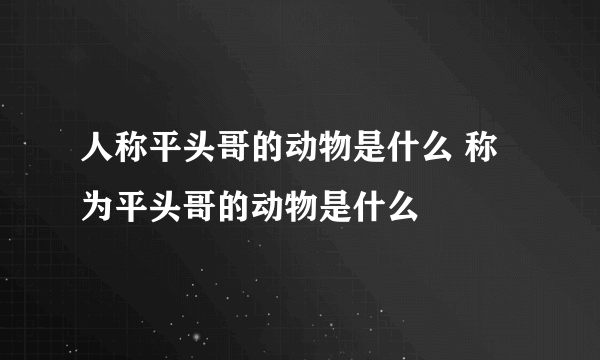 人称平头哥的动物是什么 称为平头哥的动物是什么