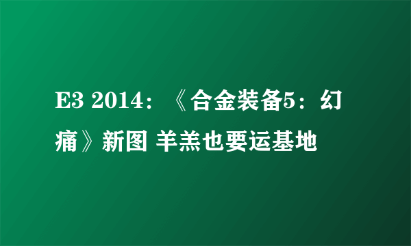 E3 2014：《合金装备5：幻痛》新图 羊羔也要运基地