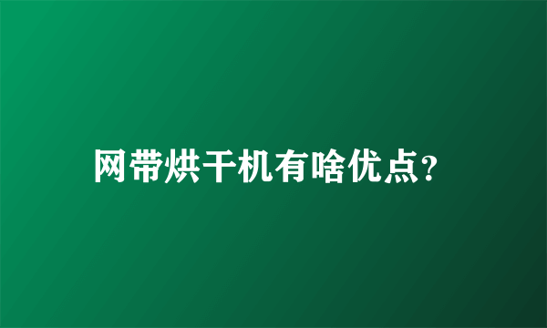 网带烘干机有啥优点？