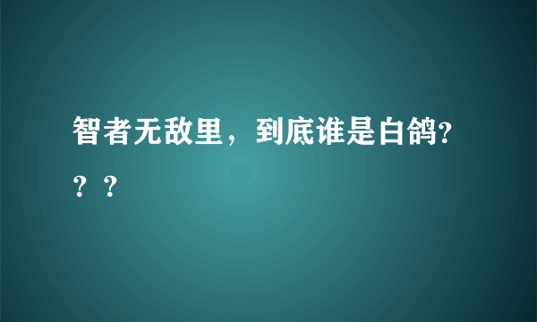 智者无敌里，到底谁是白鸽？？？