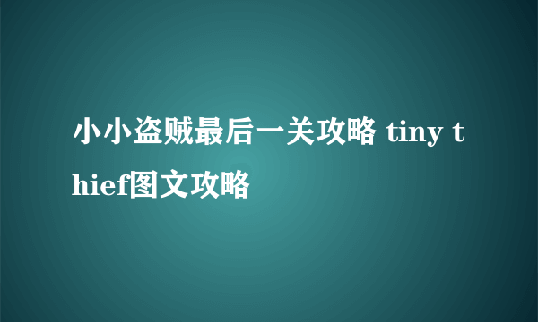 小小盗贼最后一关攻略 tiny thief图文攻略