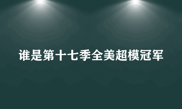 谁是第十七季全美超模冠军