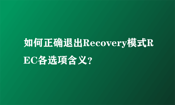 如何正确退出Recovery模式REC各选项含义？