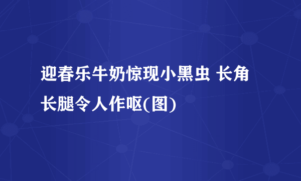 迎春乐牛奶惊现小黑虫 长角长腿令人作呕(图)