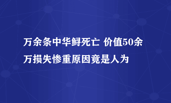 万余条中华鲟死亡 价值50余万损失惨重原因竟是人为